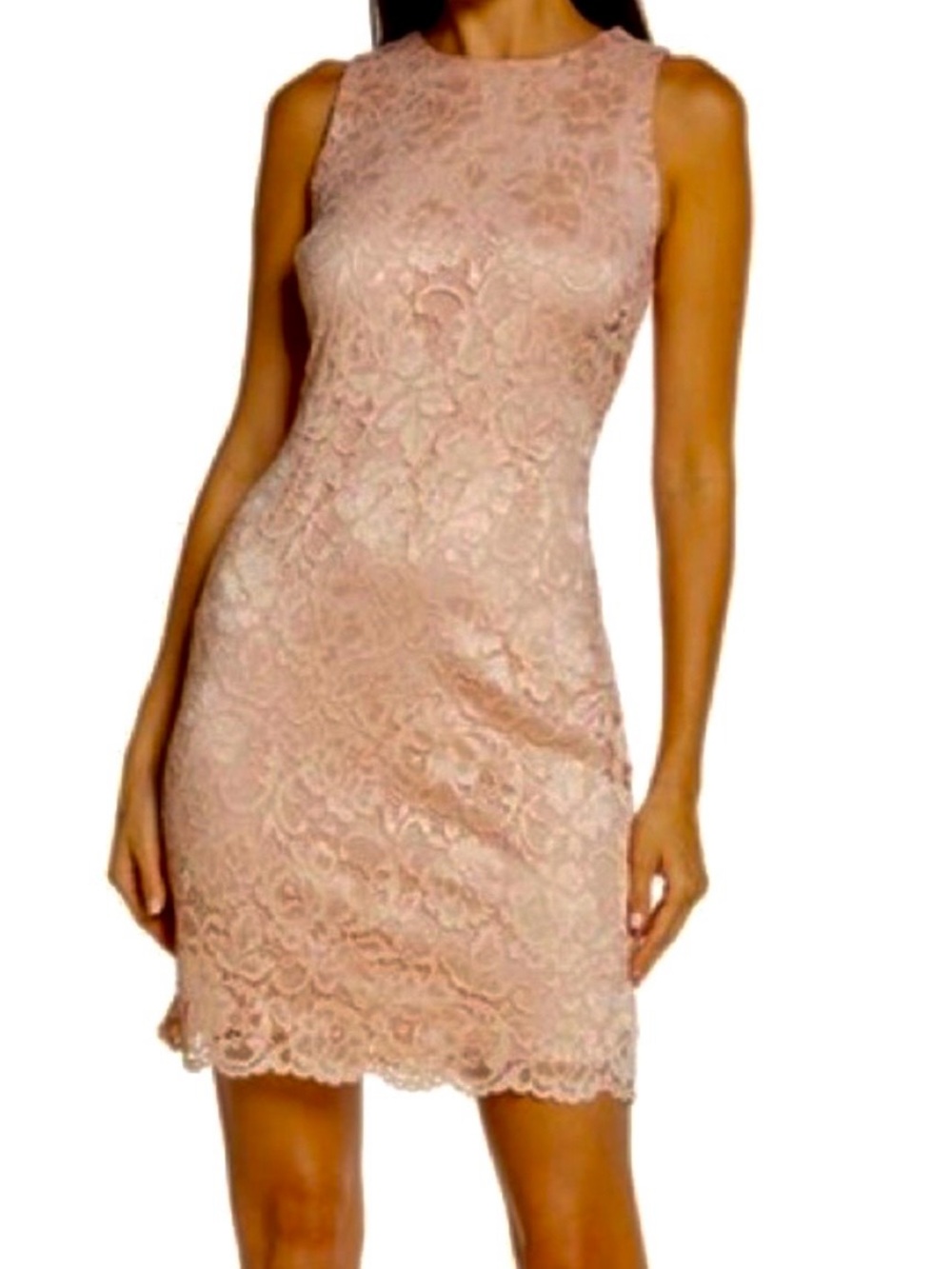 Sam Edelman Blush Pink Lace Sheath Cocktail Dress